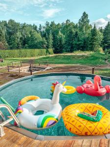 uma piscina com dois barcos insufláveis e um unicórnio em Auberge Mandala em Saint Mathieu Du Parc