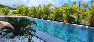 a swimming pool with palm trees in a resort at Kukumi's Big House in Sainte-Anne