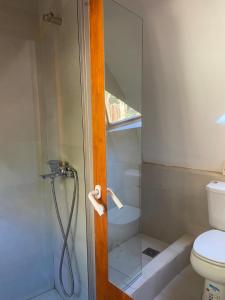 a bathroom with a shower and a toilet at Domo La Isla in Tilcara