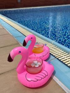 A piscina em ou perto de Ramada Hong Kong Harbour View