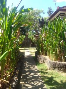 a path through the garden of a house at Kputra Homestay in Amed