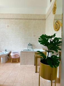 baño con bañera, aseo y planta en La Casa di Maurizio, en Montefiascone