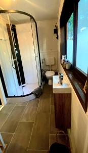 a bathroom with a shower and a sink and a toilet at Finnhütte Strandbad Adria in Dessau