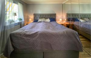 1 dormitorio con 1 cama grande y espejo en Stunning Home In Glommen With House Sea View, en Glommen