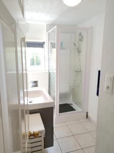 a white bathroom with a sink and a shower at La Tentonniere in Saint-Michel-de-Montjoie