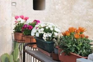 three pots of flowers sitting on a balcony at Casa masseria dell'800 Gargano. Le Mignole in Monte SantʼAngelo
