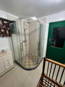 a shower in a bathroom with a green door at Heavenly Home in Apia