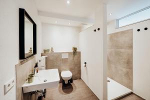 La salle de bains est pourvue d'un lavabo, de toilettes et d'une douche. dans l'établissement Mainterrasse Panorama Apartments, à Miltenberg