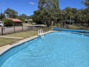 a swimming pool with a chair in the water at Murray Gardens Motel in Stanthorpe