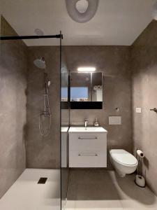 a bathroom with a shower and a toilet and a sink at Apartman Ulrich in Lukovo