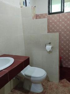 La salle de bains est pourvue de toilettes et d'un lavabo. dans l'établissement Highland, à Bilar