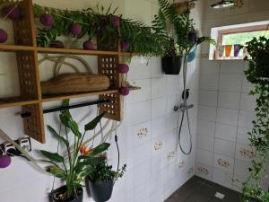 een badkamer met potplanten aan de muur bij Purple Papillon in Heuvelland
