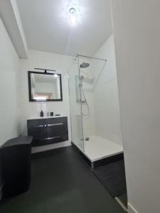 uma casa de banho com um chuveiro e um espelho. em l'annexe des Remparts em Rocroi