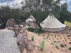 Perfugas的住宿－Pasare Glamping_AnglonaRuralExperience，花园内白色的帐篷,花园内种有岩石和树木