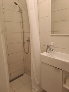 a bathroom with a shower and a sink at Borat apartmani Vir in Vir