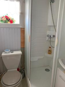 a bathroom with a toilet and a shower and a window at Petite maison de pêcheurs hypercentre La Rochelle in La Rochelle