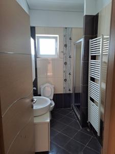 a bathroom with a sink and a toilet and a window at Ηome Rent Chalkida in Kánithos