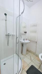 a bathroom with a shower and a sink at Vila Kira Buşteni in Buşteni +16 photos