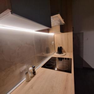 una pequeña cocina con fogones y encimera en Apartmani Katarina 4+2, en Biograd na Moru