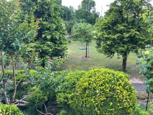 A garden outside Nefelejcs Apartman