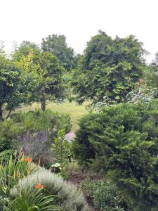 A garden outside Nefelejcs Apartman