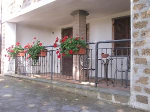 un balcón con macetas de flores en una valla en Farmhouse with pool in an area with history nature and art en Bagnoregio