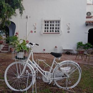 a white bike parked in front of a building at Da Tea in San Teodoro