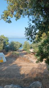 einen Skatepark mit Rampe und das Meer im Hintergrund in der Unterkunft Es&Es campıng ve bungalov in Köyceğiz