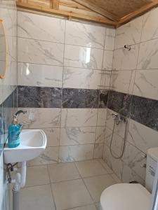 a bathroom with a sink and a toilet at Es&Es campıng ve bungalov in Köyceğiz
