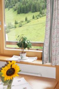 un girasol en un jarrón sentado en un alféizar de la ventana en Apartpension Schollberg en Sankt Anton am Arlberg