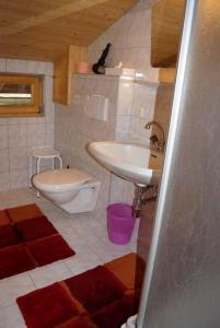 łazienka z umywalką i toaletą w obiekcie Apartpension Schollberg w mieście Sankt Anton am Arlberg