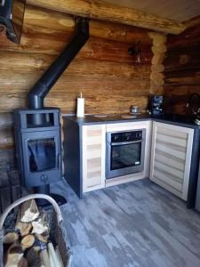 eine Küche mit einem Backofen und einem Herd in einer Hütte in der Unterkunft Les Petites Fustes Dans La Prairie in Coucouron