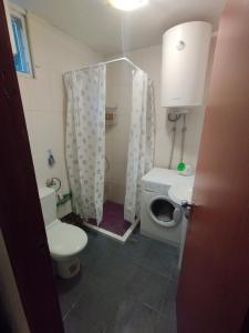 a small bathroom with a toilet and a shower at Vikendica Morinj in Donji Morinj