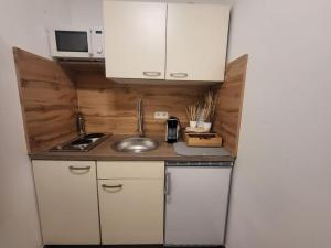 eine kleine Küche mit einer Spüle und einer Mikrowelle in der Unterkunft Exklusive Gartenwohnung in Wien