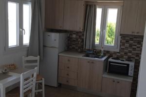 a kitchen with a white refrigerator and a sink at Studio Angelika in Glinado Naxos