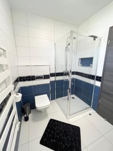 a bathroom with a shower and a toilet at Napfény Terasz Apartman in Vonyarcvashegy