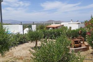 a garden with trees and bushes in front of a building at Studio Angelika in Glinado Naxos