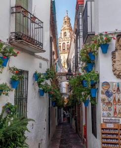 une ruelle étroite avec des plantes en pot et un bâtiment dans l'établissement Osario, à Cordoue