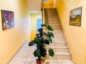 eine Treppe mit Topfpflanze in einem Zimmer in der Unterkunft Sun Inns Hotel Puchong in Puchong