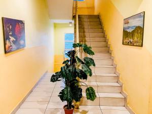 Fotografie z fotogalerie ubytování Sun Inns Hotel Puchong v destinaci Pučong