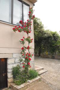 Zahrada ubytování Mon Perin Castrum - Studio Apartment Adriano