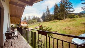 un balcone di una casa con vista su un campo di Casa dintre Brazi a Statjunea Borsa