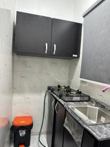a kitchen with a sink and a counter top at Magnanimous Apartments 1bedroom flat at Ogudu in Lagos