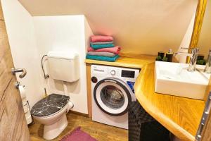 a bathroom with a washing machine and a sink at Betlehem Resort in Zgornje Gorje +66 photos