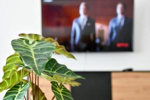 a plant in front of a tv with a plant at Ferienwohnungen am Theater - modern, zentral und ruhig mit Küche, Waschtrockner, Netflix, Wlan und Parkplatz- 2 Zimmer, 52 qm in Cottbus
