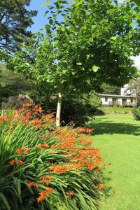 a garden with orange flowers and a tree at The Chalets in Eskdale