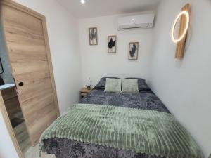 1 dormitorio con 1 cama con manta verde en Villa Les palmiers en Besse-sur-Issole