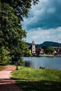 vista sul lago con chiesa in lontananza di Carpe Diem Bed and Breakfast a Beaulieu-sur-Dordogne