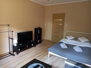 Posteľ alebo postele v izbe v ubytovaní Apartament Górski