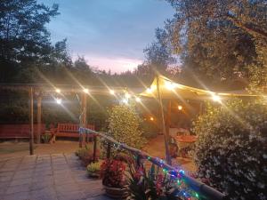 Zahrada ubytování Agriturismo Cisogna